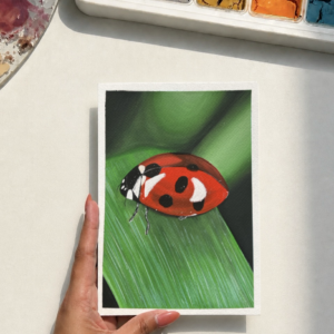 ladybug